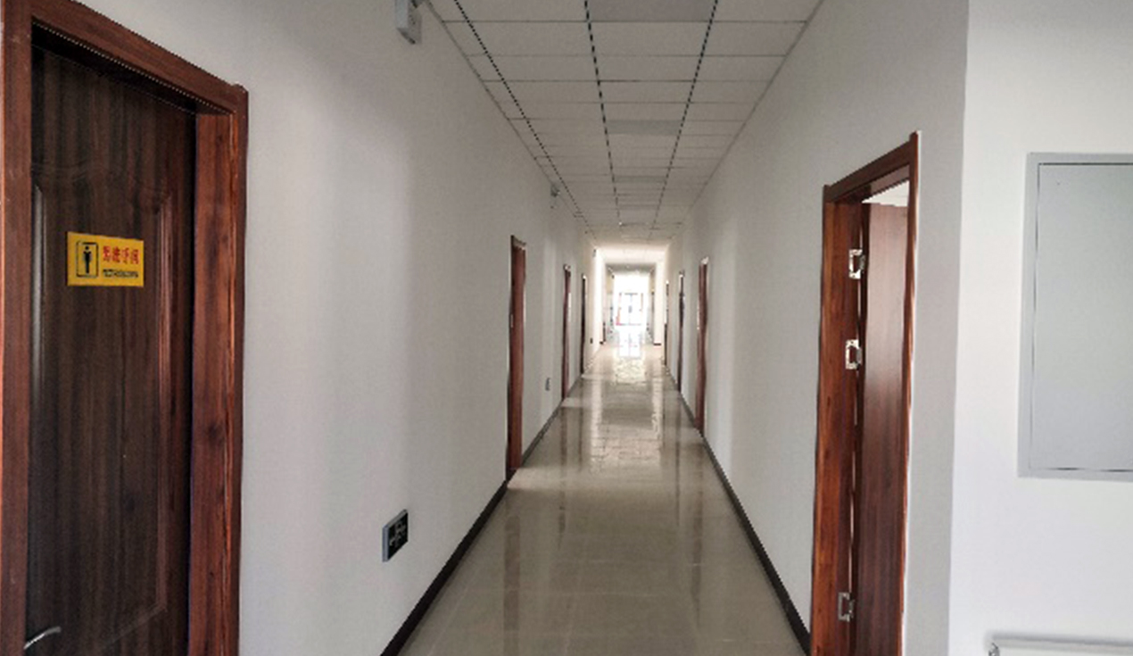 Proyecto Hidroeléctrico Xinjiang Dashixia