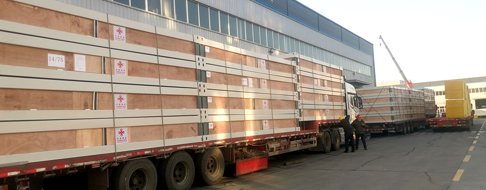 Proyecto de Asistencia de Socorro Humanitario de Emergencia en Tonga