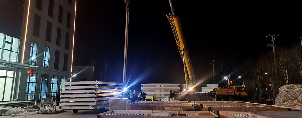 Proyecto de Asistencia de Socorro Humanitario de Emergencia en Tonga